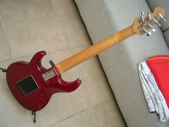 dscn4313.jpg